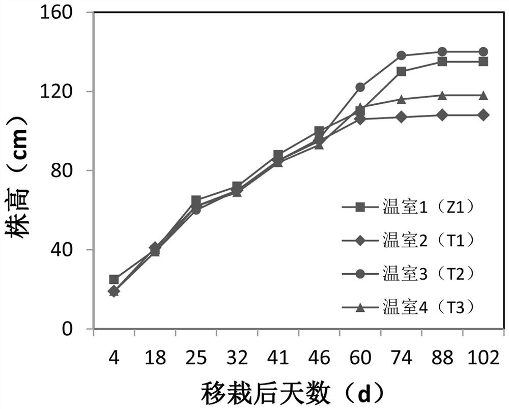 The method of increasing tomato yield in spring solar greenhouse by regulating ventilation mode