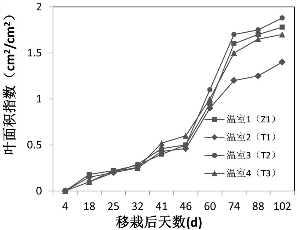 The method of increasing tomato yield in spring solar greenhouse by regulating ventilation mode