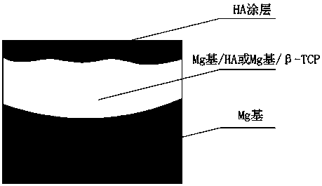 Controlled degradation magnesium-based functional gradient material and preparation method thereof