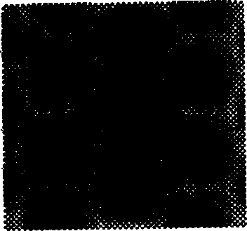 Filtration-based microarray chip