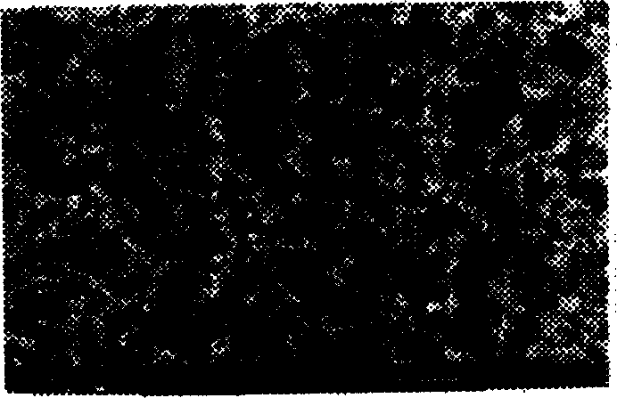 Filtration-based microarray chip