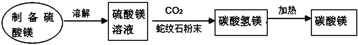 Method for mineralization storage of CO2 through magnesium resources in serpentine