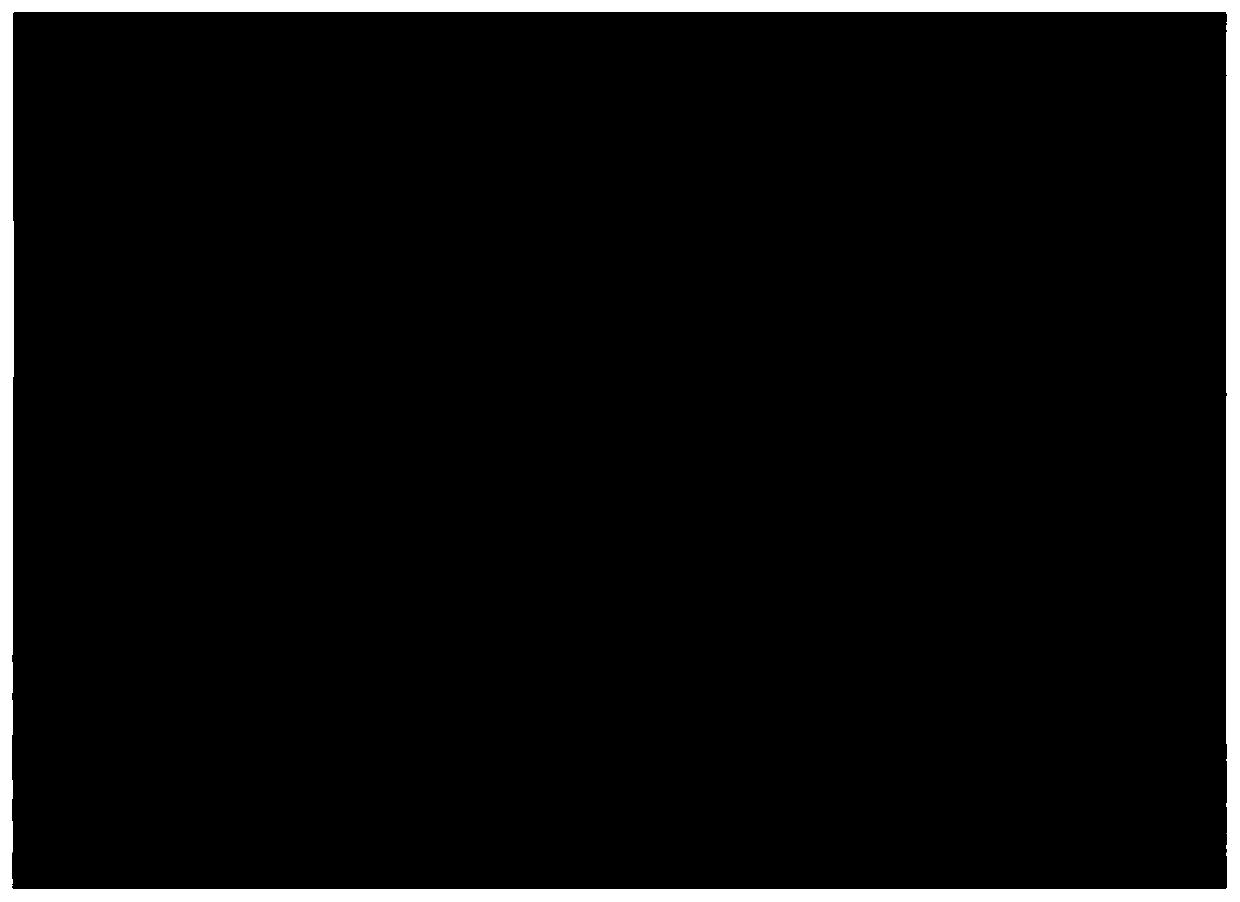 Bispecific antibody