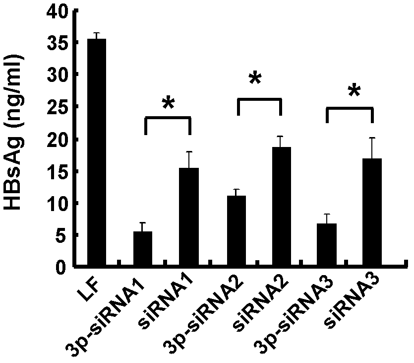 siRNA for treating hbv