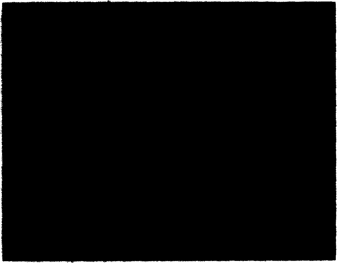 Mucous membrane immunizing agent of polyglycol-inactivated vaccine