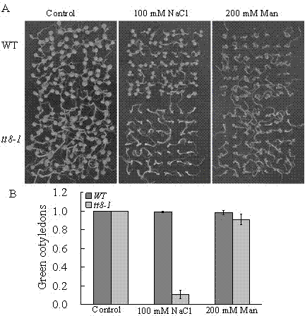 New application of arabidopsis At4g09820 gene in plant salt resistance aspect