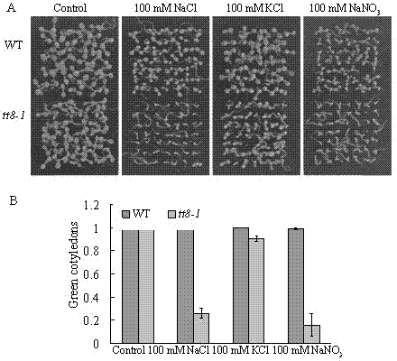 New application of arabidopsis At4g09820 gene in plant salt resistance aspect