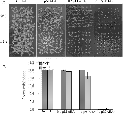 New application of arabidopsis At4g09820 gene in plant salt resistance aspect