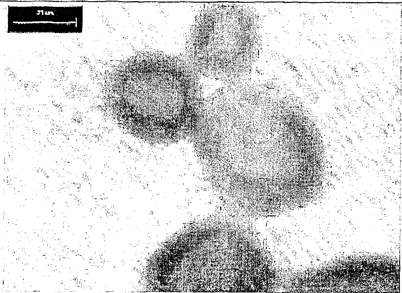 Method for preparing microcapsule by miniemulsion polymerization