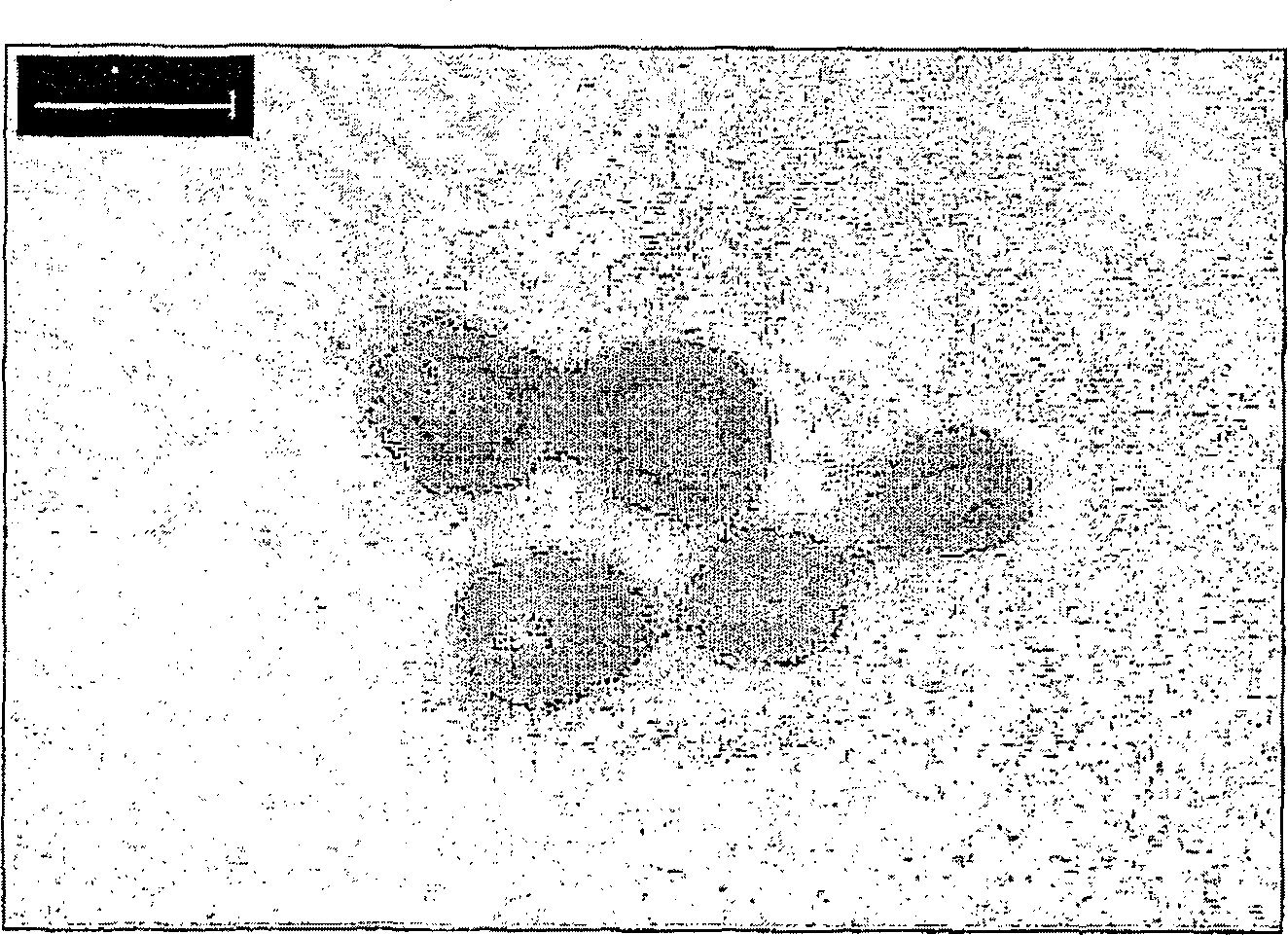 Method for preparing microcapsule by miniemulsion polymerization