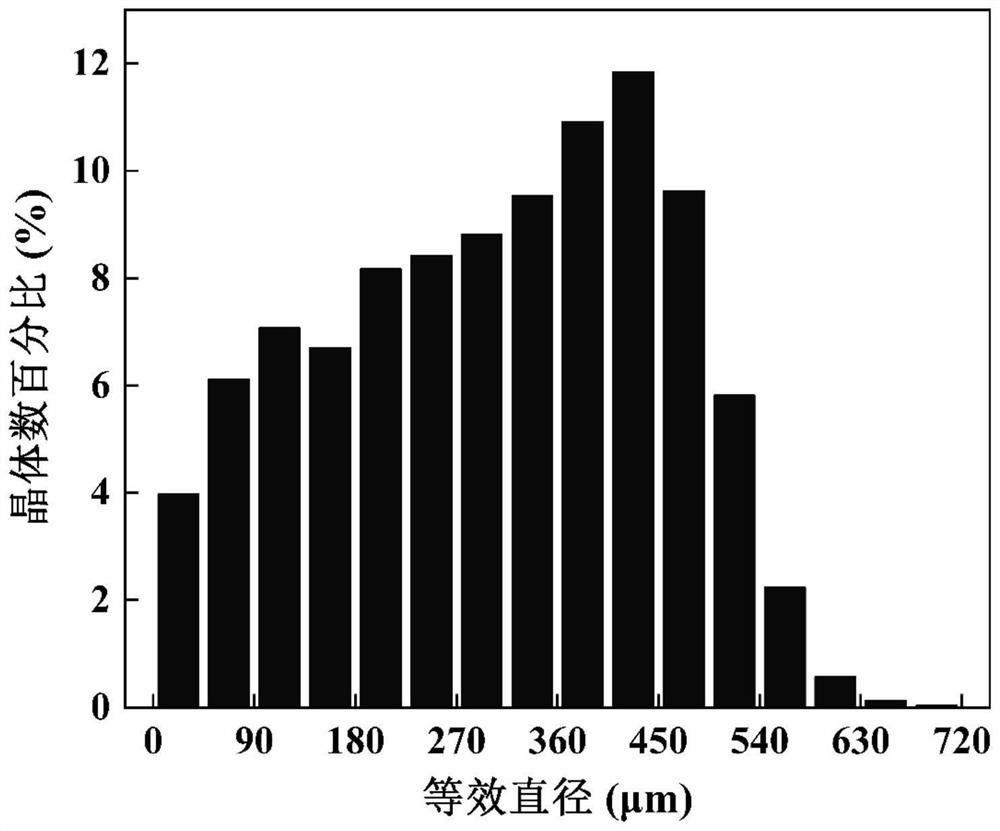 Continuous industrial crystallization image processing system based on deep learning