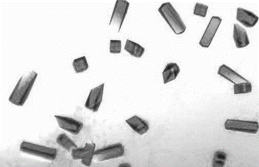 Protein crystallization teaching kit and method thereof