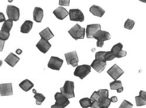 Protein crystallization teaching kit and method thereof