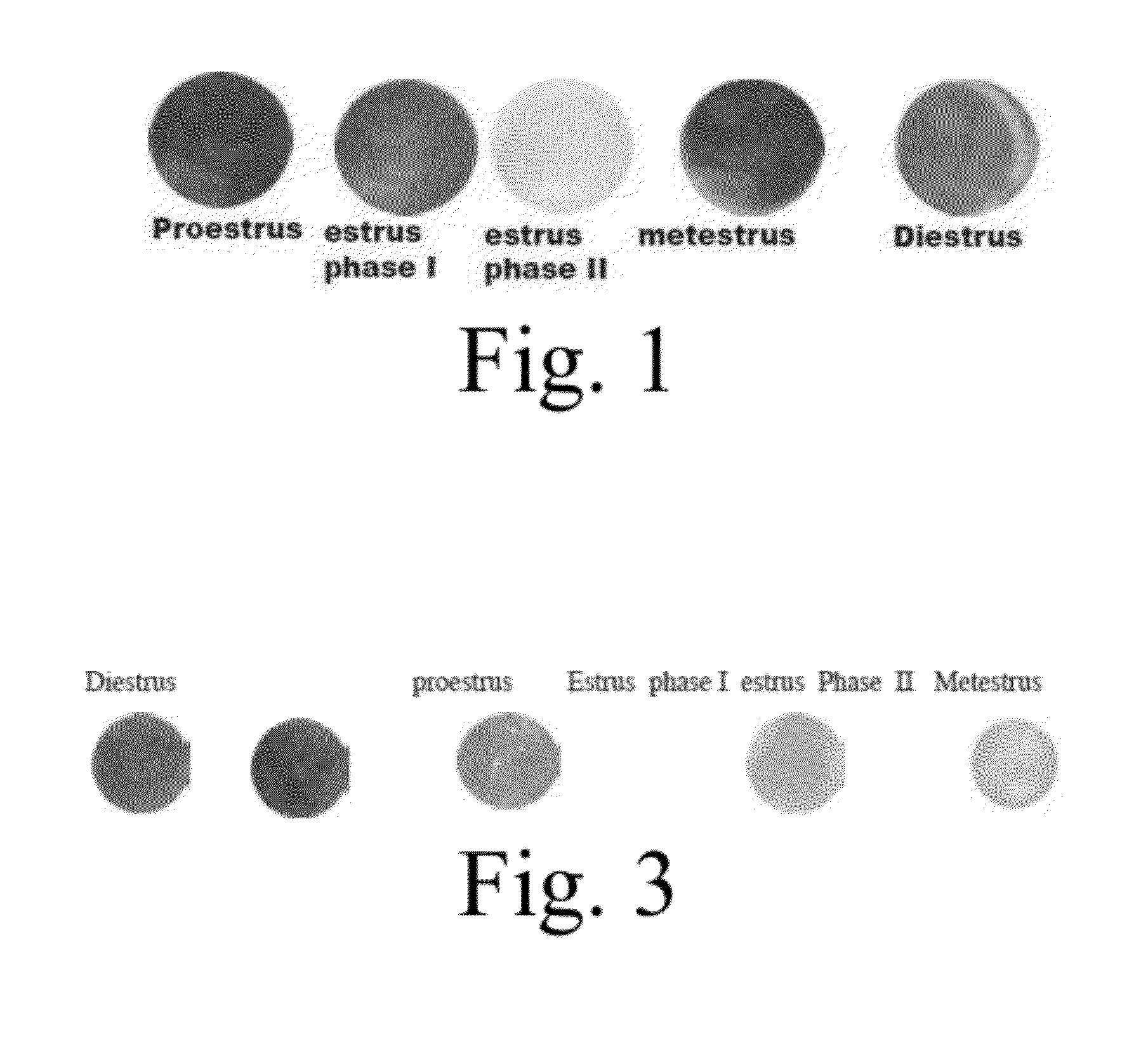 Estrous cycle monitoring by color response