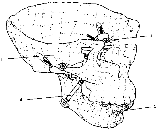 Bionic chewing motion mechanism with double Hooker hinges