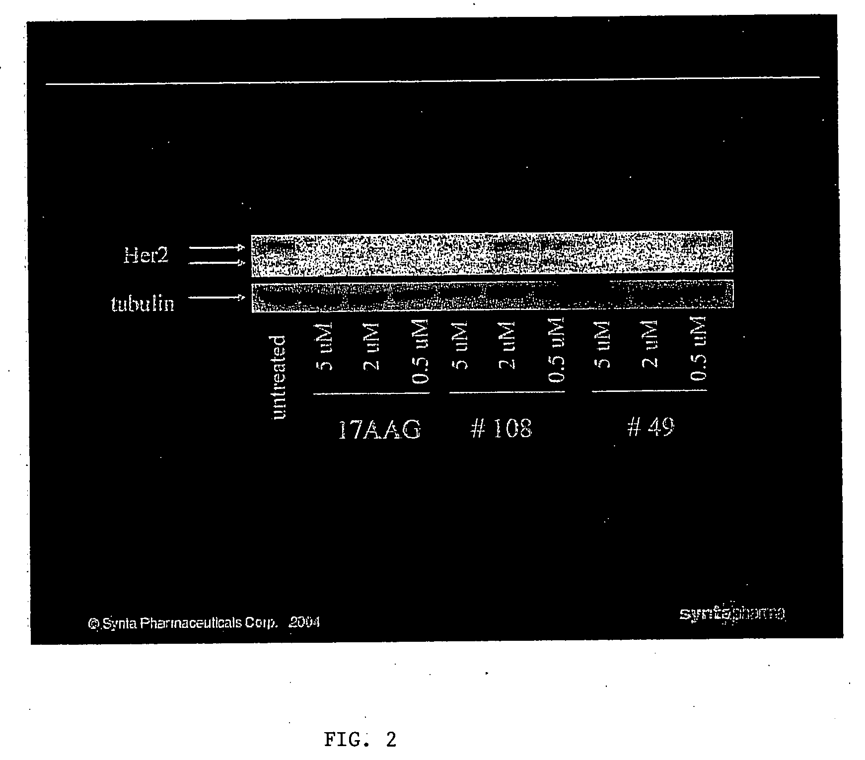 Compounds that modulate HSP90 activity and methods for identifying same