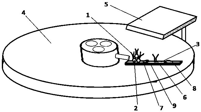 Centrifugal chromatography colloidal gold immunodetection technology and application thereof