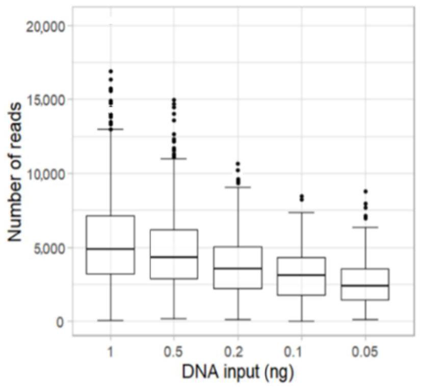 Human Y chromosome STR and SNP genetic marker joint detection system and detection method based on NGS