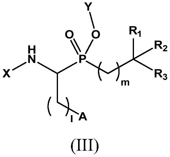 Novel aminophosphinic derivatives as aminopeptidase a inhibitors