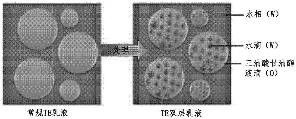 Drug delivery platform using w/o/w-type triolein emulsion promotive of blood-brain barrier opening