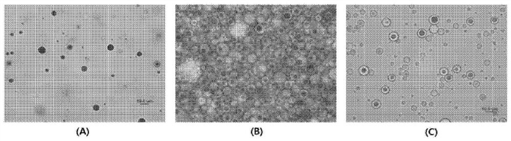 Drug delivery platform using w/o/w-type triolein emulsion promotive of blood-brain barrier opening