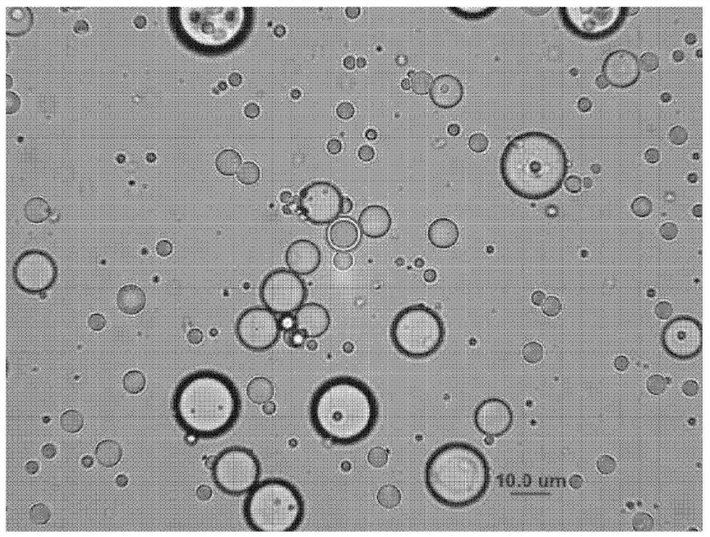 Drug delivery platform using w/o/w-type triolein emulsion promotive of blood-brain barrier opening