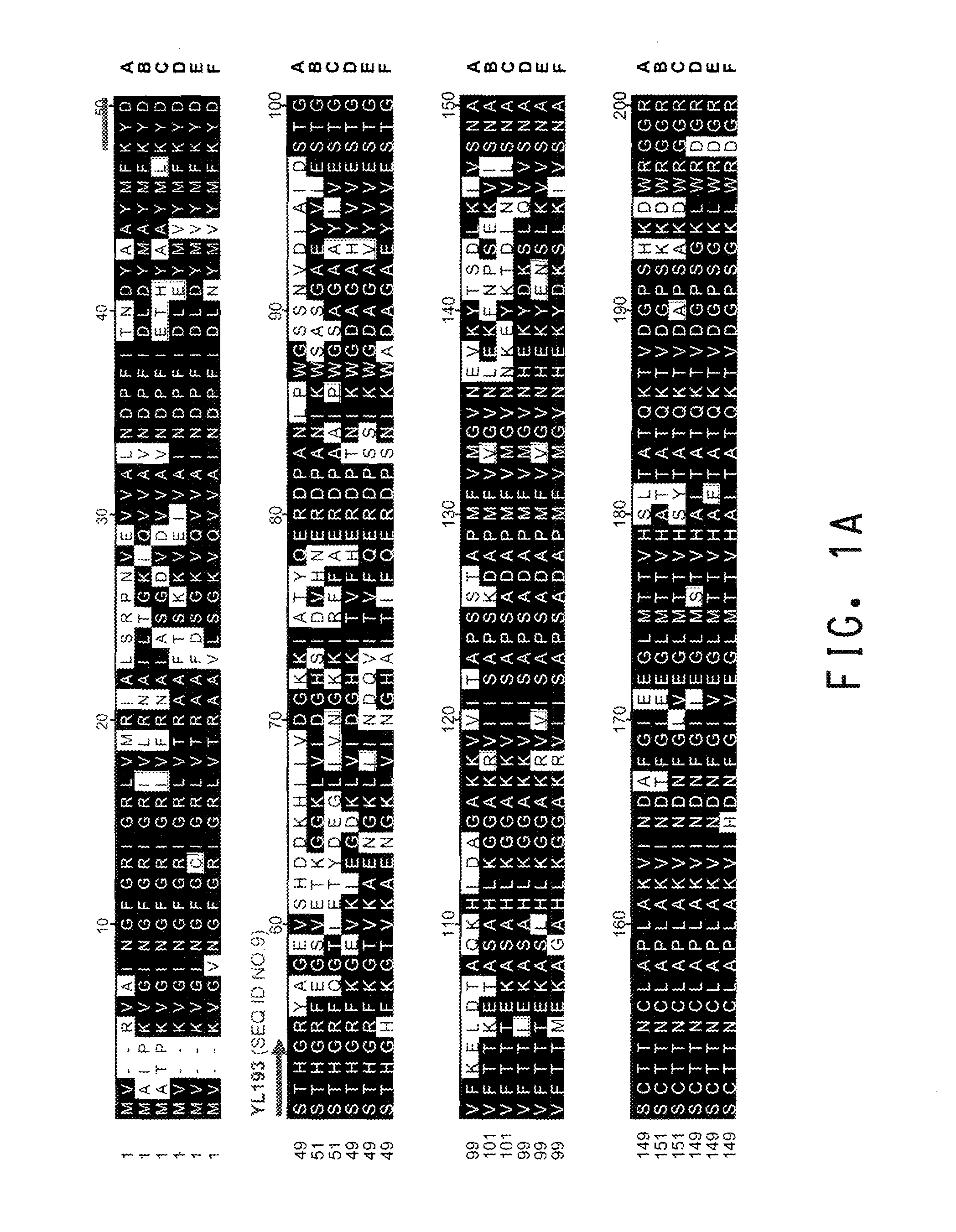 Glyceraldehyde-3-phosphate dehydrogenase and phosphoglycerate mutase promoters for gene expression in oleaginous yeast