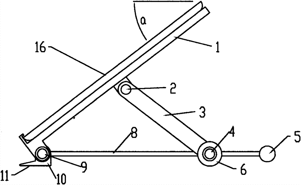 Angle-rotatable holder