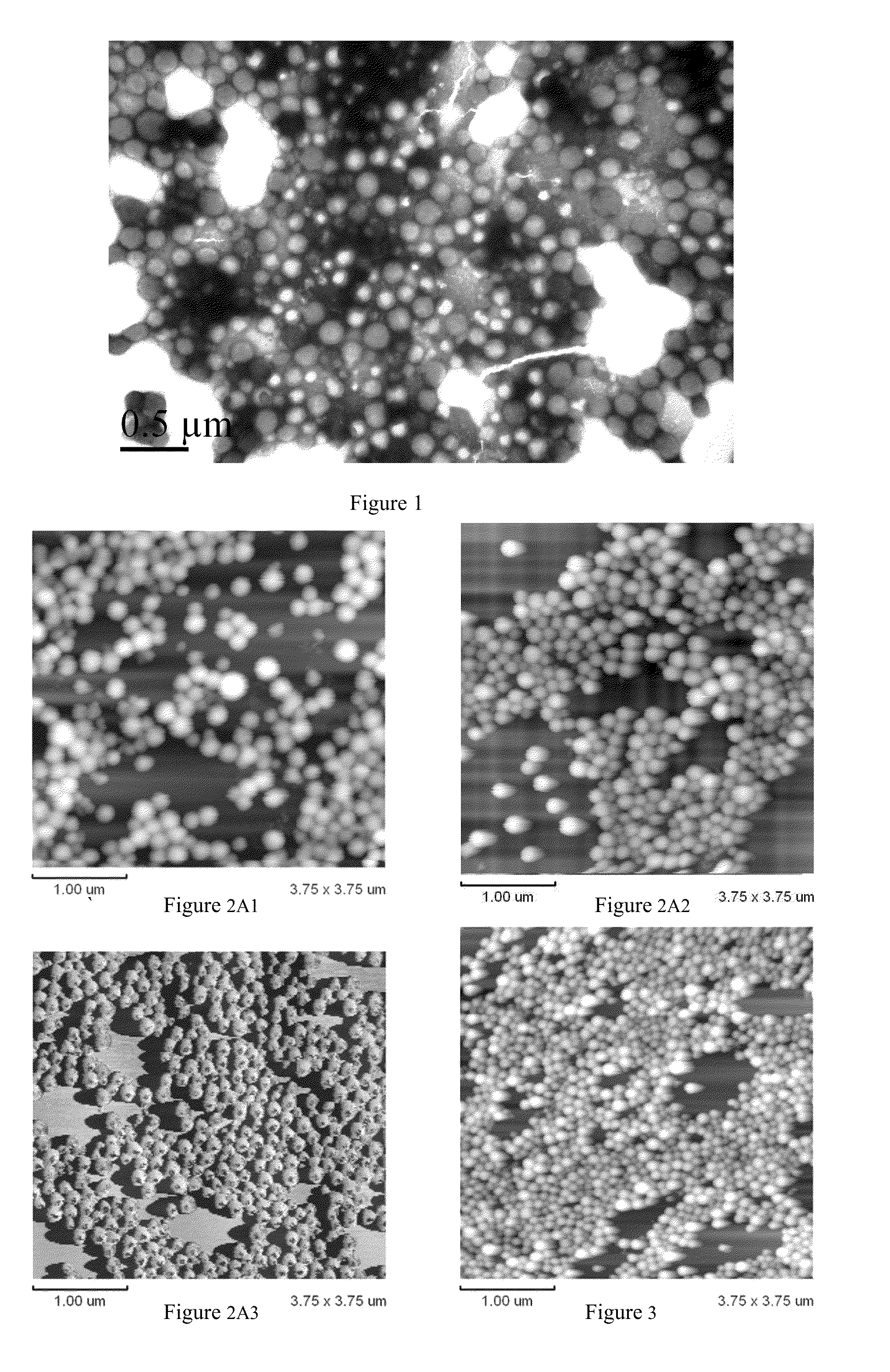 Arsenic compound solution and albumin nanoparticle and lyophilized preparation entrapping arsenic compound prepared using same