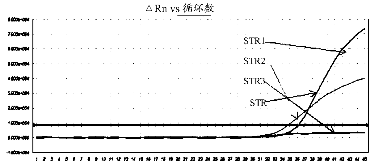 Composition, kit and method for detecting human intestinal bacteria