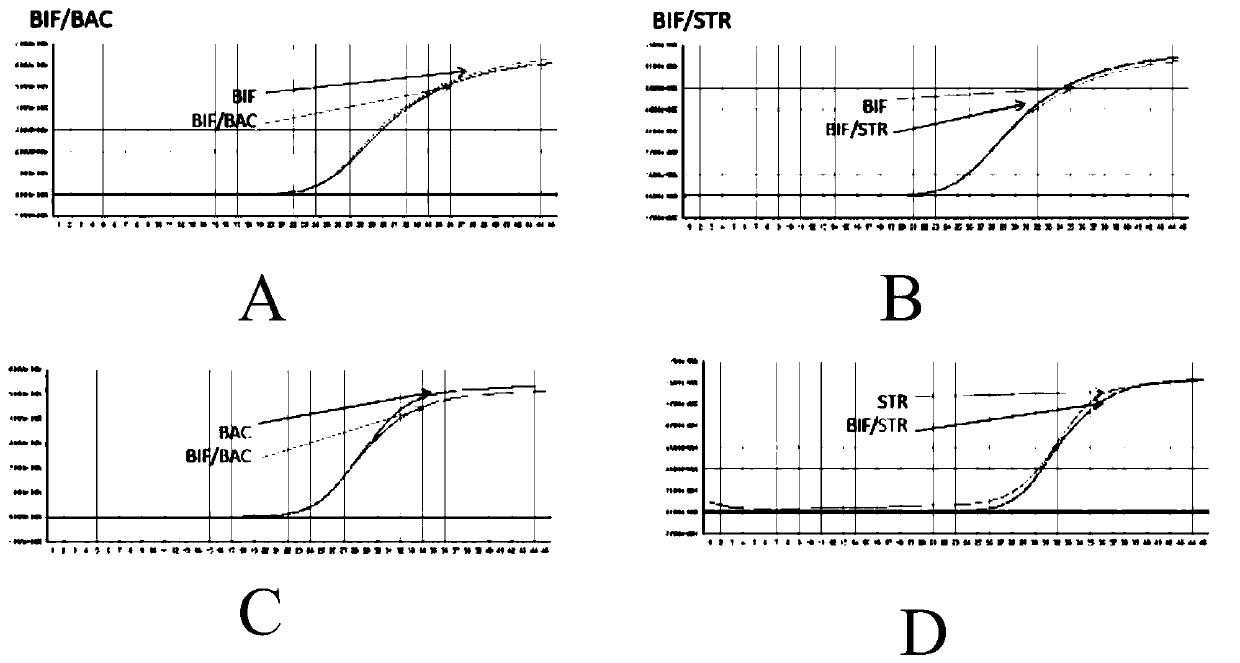 Composition, kit and method for detecting human intestinal bacteria