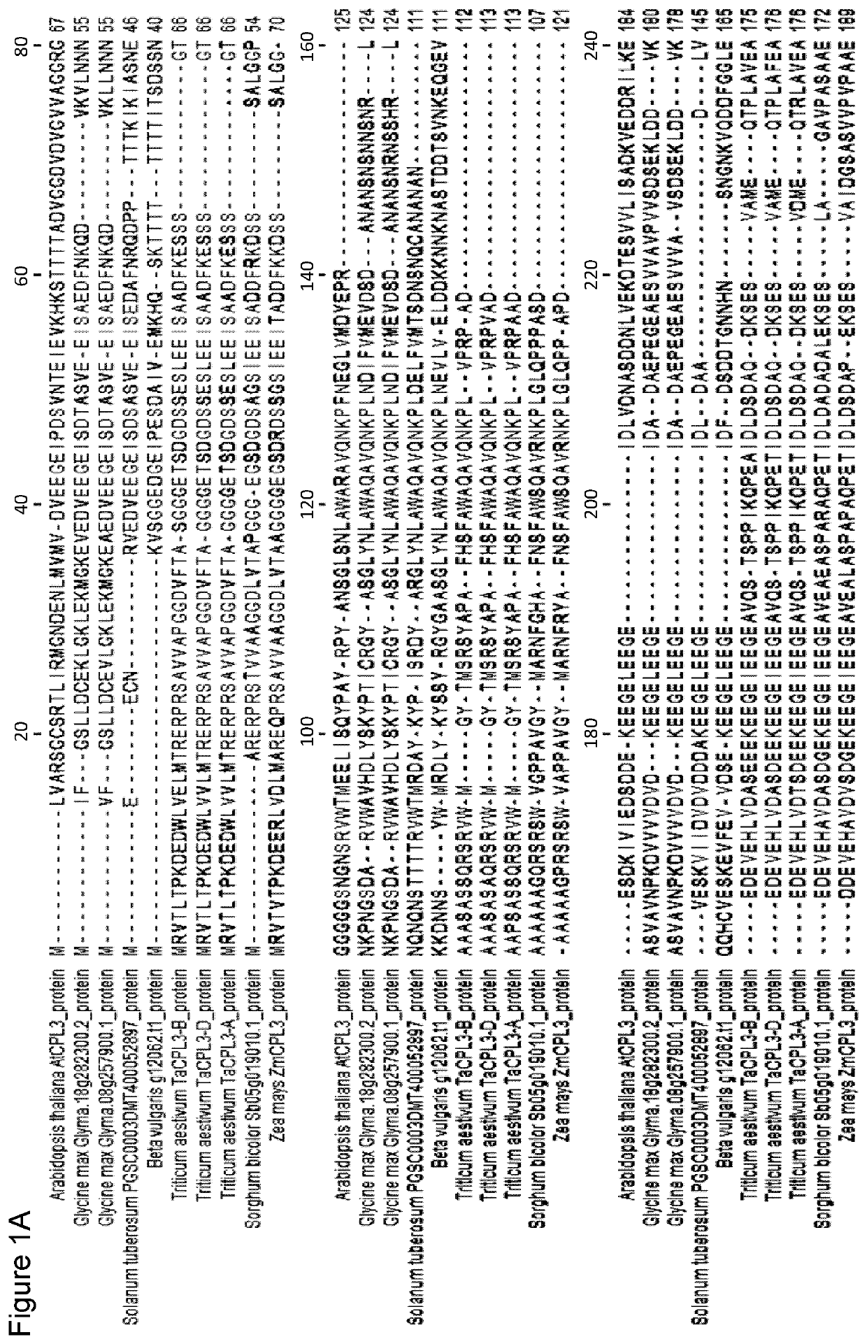 Pathogen resistance in crop plants