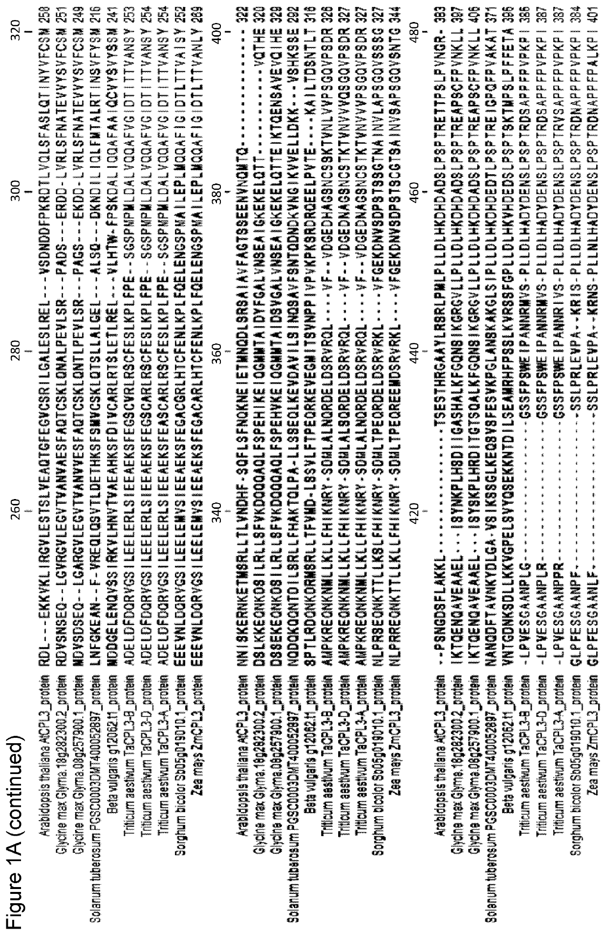 Pathogen resistance in crop plants