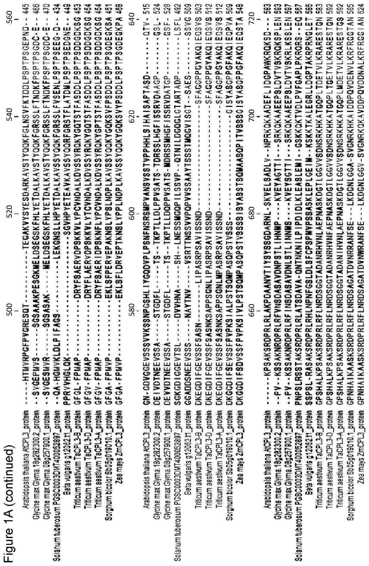 Pathogen resistance in crop plants