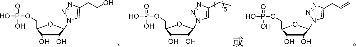 Nucleotide analogue and synthesis and application thereof