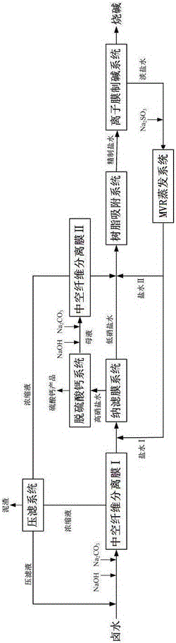 Dual membrane method brine refining technology and device in whole bittern caustic soda production