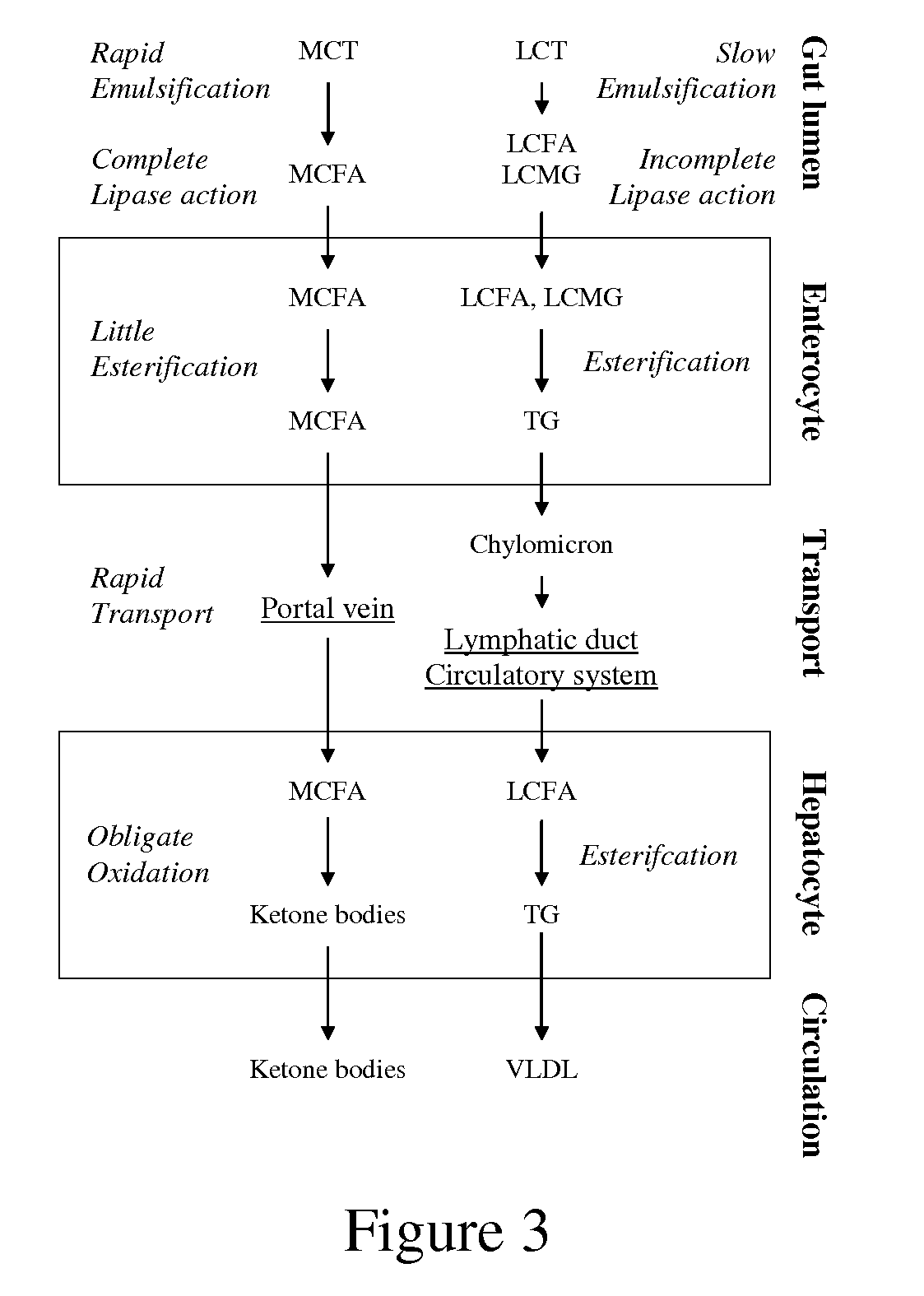 Method to Reduce Oxidative Damage and Improve Mitochondrial Efficiency