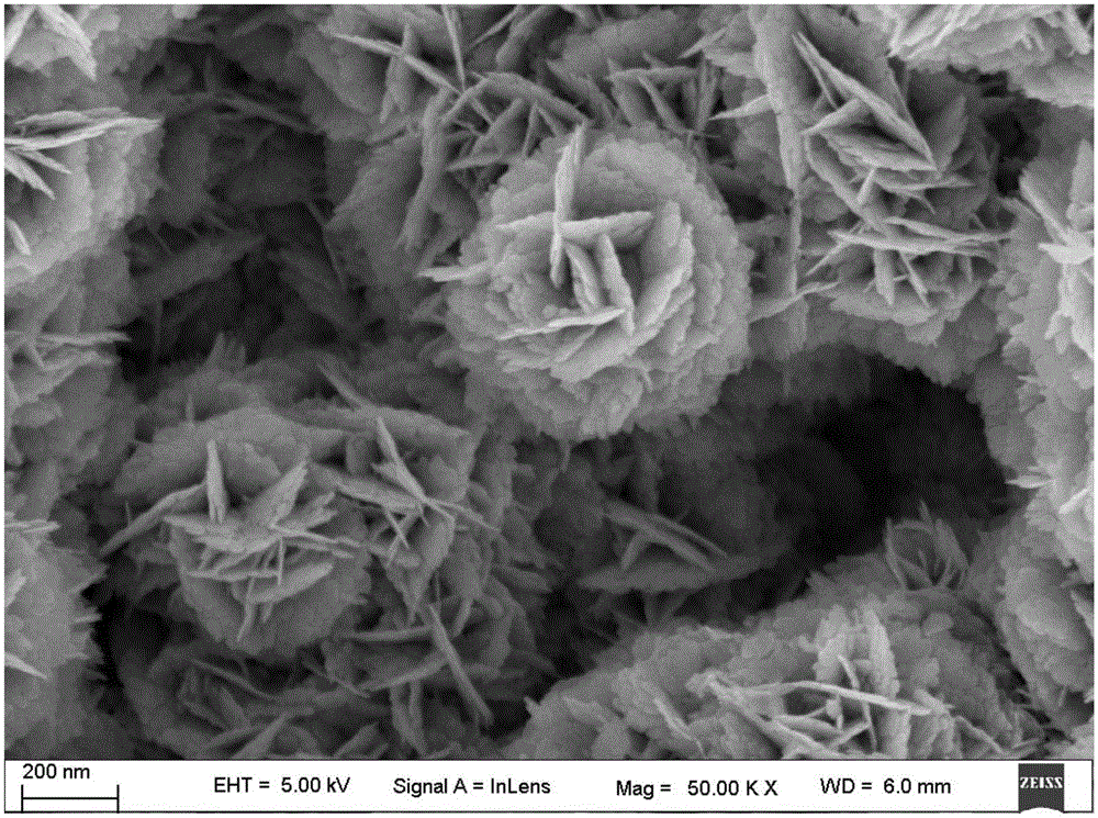 Silver powder with flower-shaped microstructure and preparation method thereof and electric conducting ink