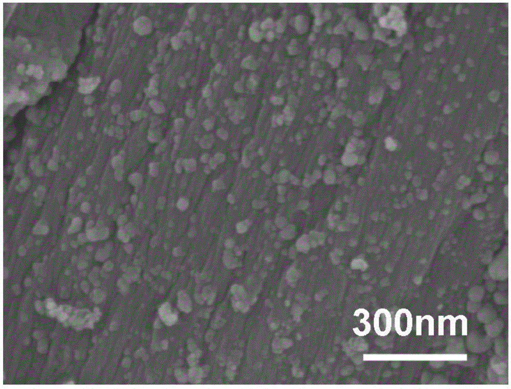 Biomimetic synthesis method of Fe3O4/Fe/C nano composite battery electrode material