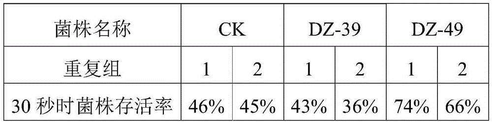 Saccharomyces cerevisiae and application thereof in preparation of externally-applied agent for skin