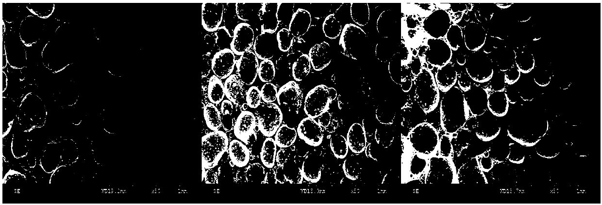 Preparation method of foam glass