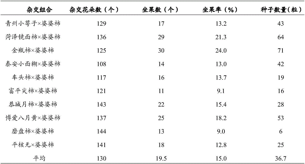 Multi-product high-scion hybrid seed production method for persimmon trees