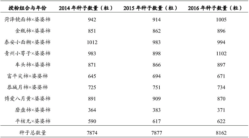 Multi-product high-scion hybrid seed production method for persimmon trees