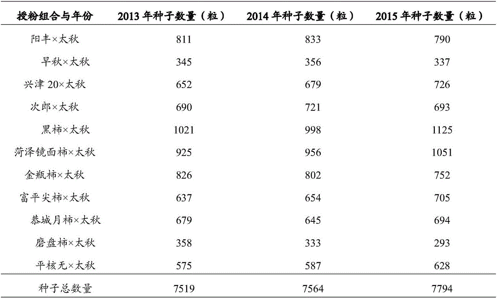 Multi-product high-scion hybrid seed production method for persimmon trees