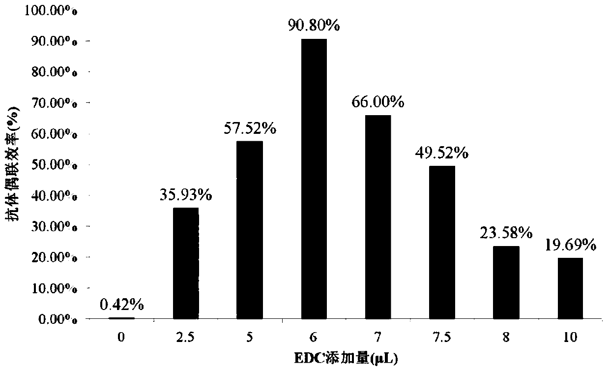 A method and application of rapidly capturing Cronobacter based on immunomagnetic bead technology