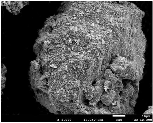 Method for tungsten modification treatment of powder surface