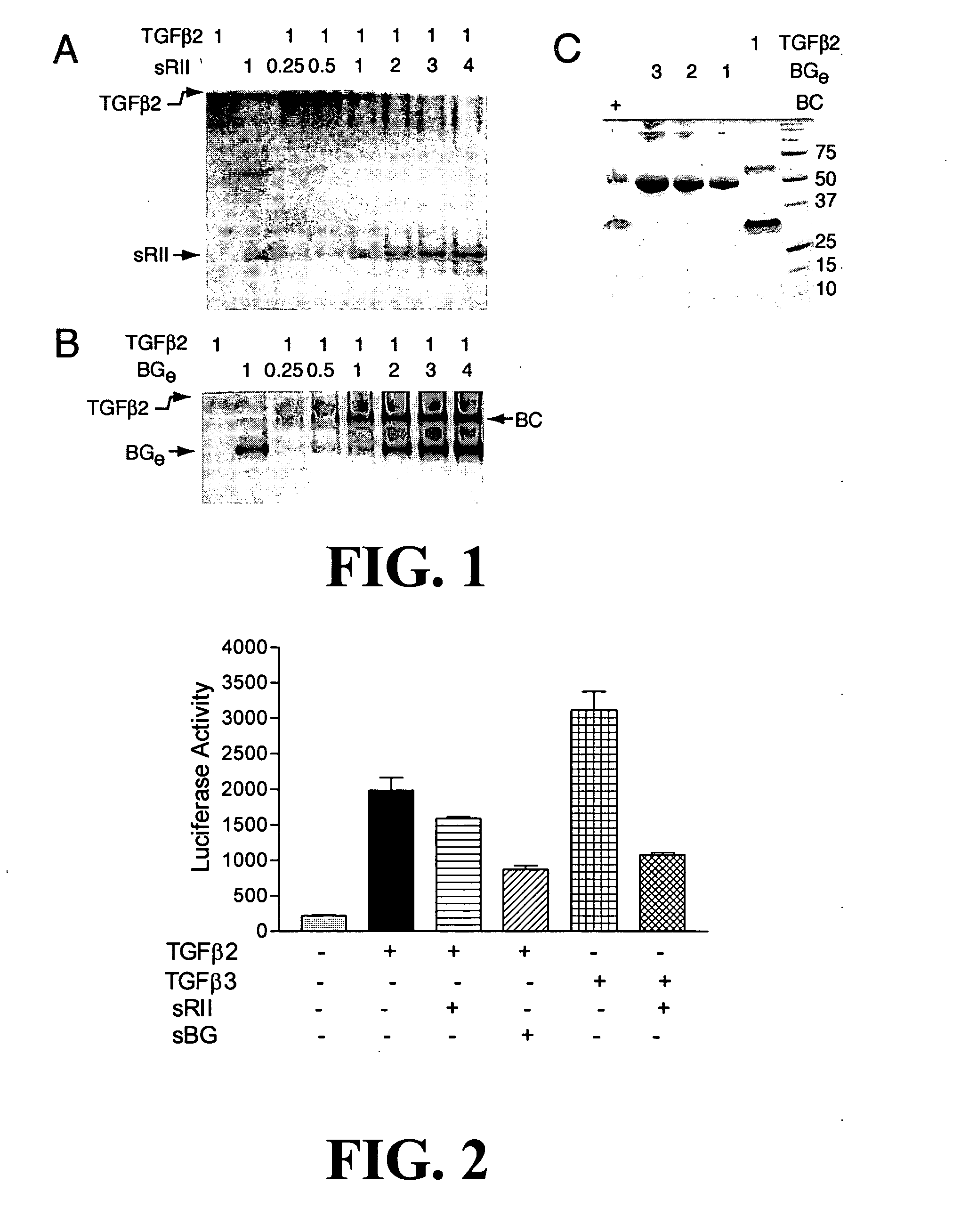 Antagonizing TGF-beta activity with various ectodomains of TGF-beta receptors used in combination or as fusion proteins