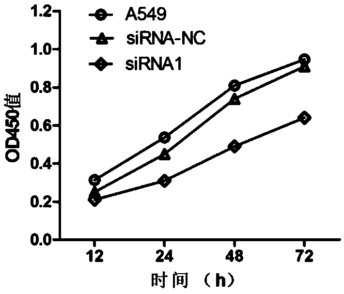 Application of lncRNA (long no-coding RNA) in diagnosis and tretament of lung adenocarcinoma