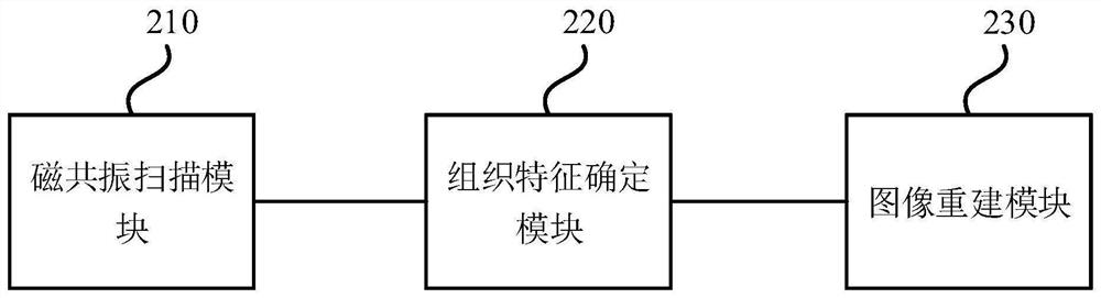 Functional magnetic resonance imaging method, device and system as well as equipment and storage medium