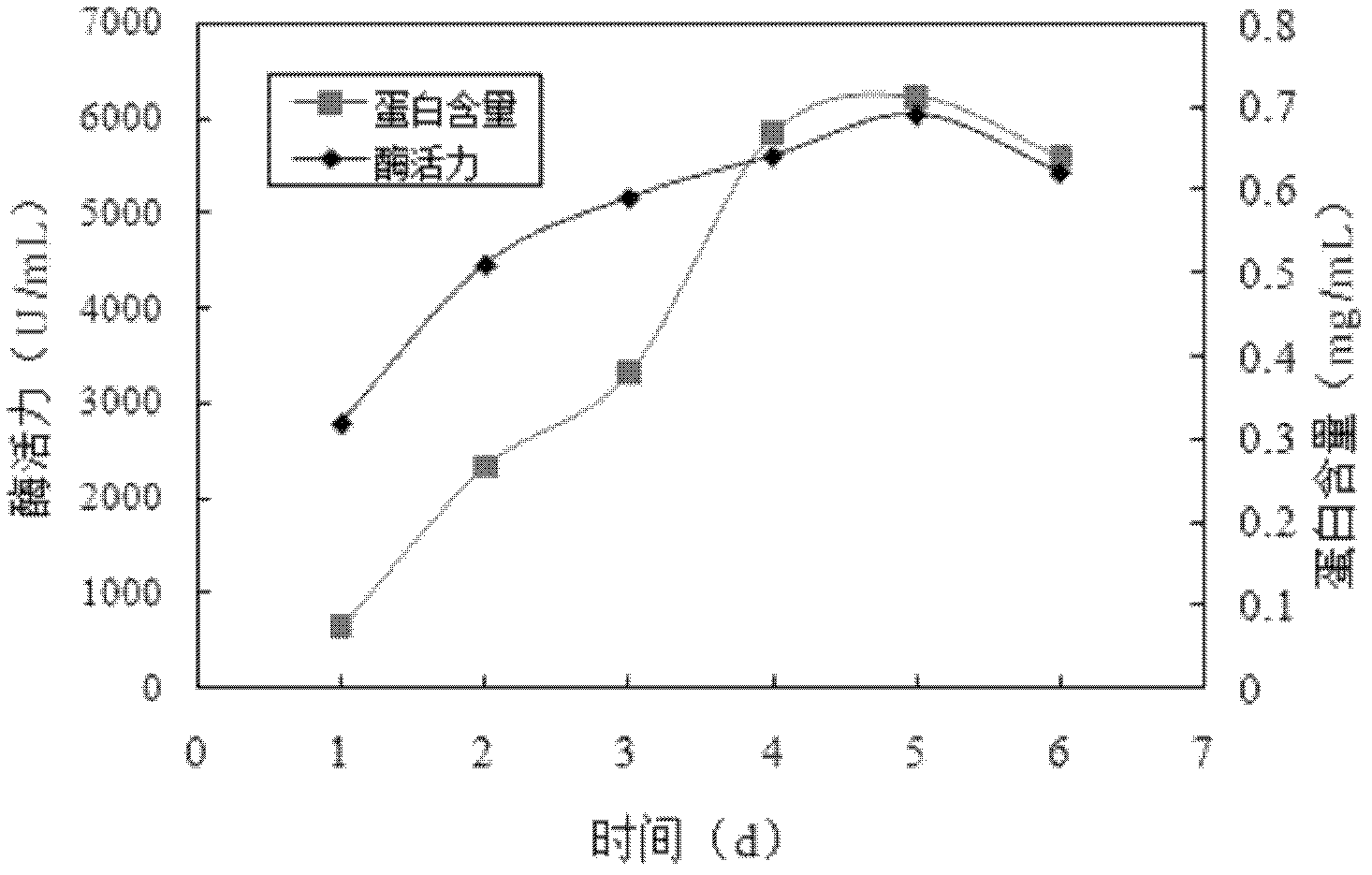 Rhizomucor miehei strain and application thereof to preparation of Beta-glucanase and chymosin